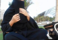 娱乐吃瓜君说的都是谁啊